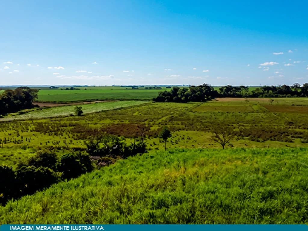 Foto 3 de 8: Area Rural em leilão em Guaíra - SP — Imóvel Rural 57 ha (Fazenda Santa Helena) - Guaíra - SP
