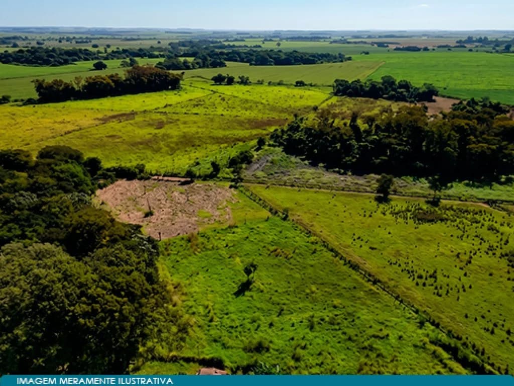 Foto 2 de 8: Area Rural em leilão em Guaíra - SP — Imóvel Rural 57 ha (Fazenda Santa Helena) - Guaíra - SP