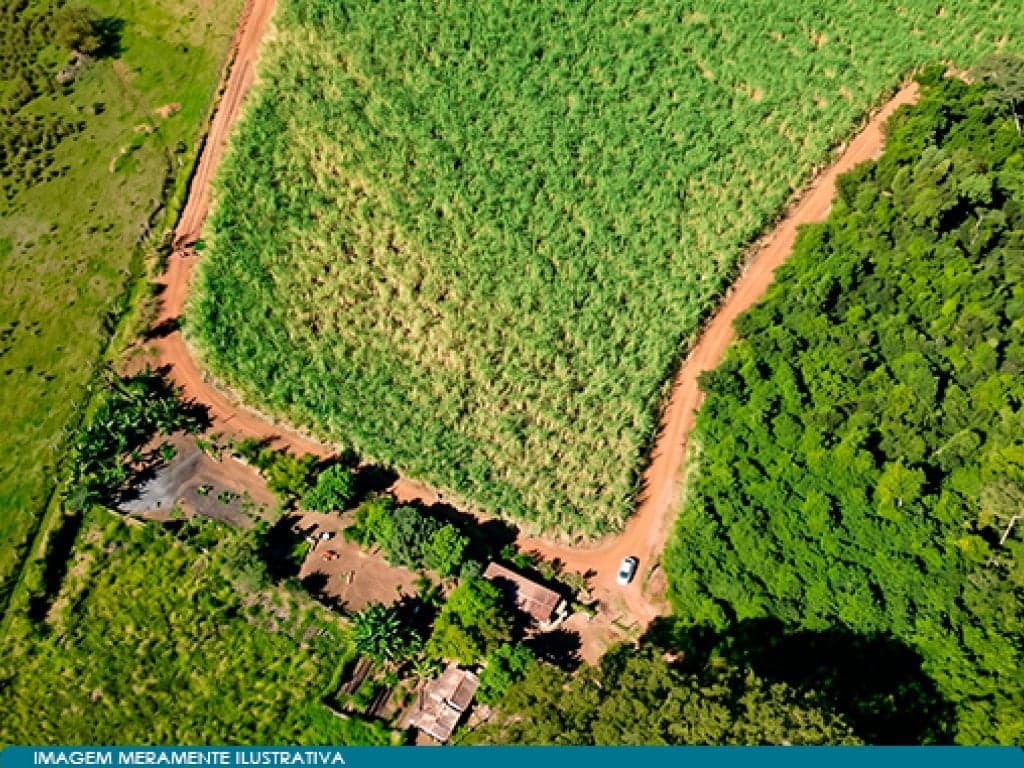 Foto 8 de 8: Area Rural em leilão em Guaíra - SP — Imóvel Rural 57 ha (Fazenda Santa Helena) - Guaíra - SP