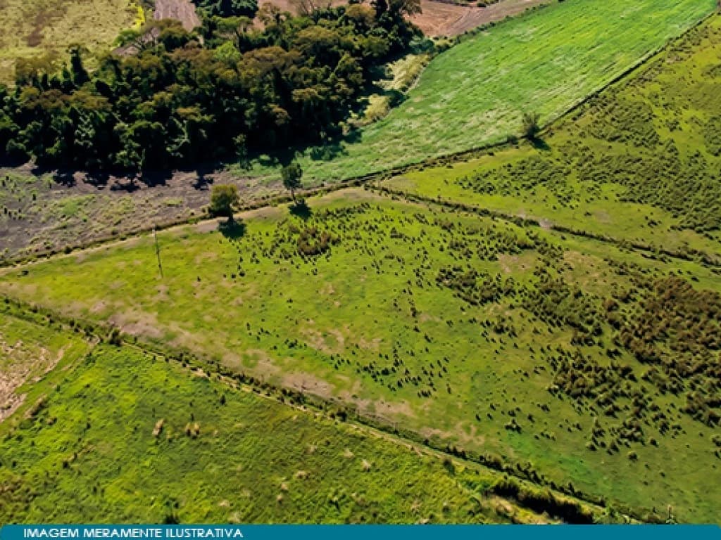 Foto 1 de 8: Area Rural em leilão em Guaíra - SP — Imóvel Rural 57 ha (Fazenda Santa Helena) - Guaíra - SP