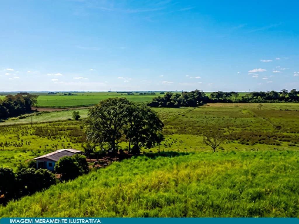 Foto 7 de 8: Area Rural em leilão em Guaíra - SP — Imóvel Rural 57 ha (Fazenda Santa Helena) - Guaíra - SP