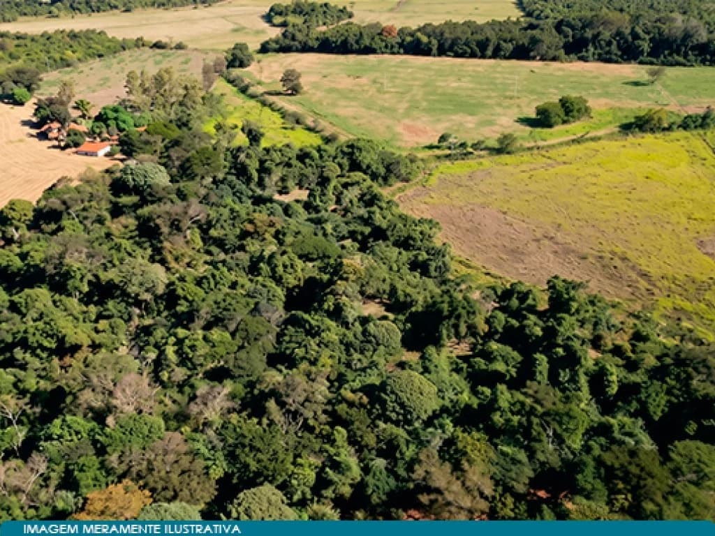 Foto 4 de 8: Area Rural em leilão em Guaíra - SP — Imóvel Rural 57 ha (Fazenda Santa Helena) - Guaíra - SP