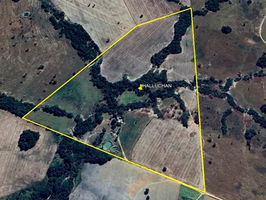 Area Rural em leilão em Edéia - GO, bairro Zona Rural — Área Rural 36 ha - Edéia-GO - Fazenda Santa Terezinha - Zona Rural