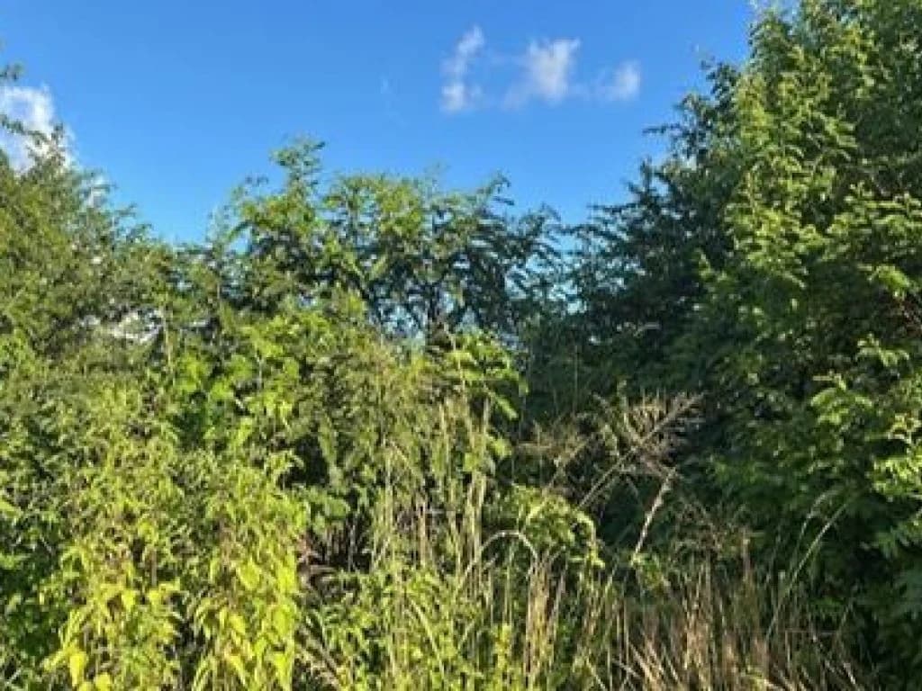 Terreno em leilão em Sairé - PE, bairro Planalto 710 — Terreno 450 m² - Sairé-PE - Rua Projetada - Lt. 22 da Qd. R-2 - Planalto 710