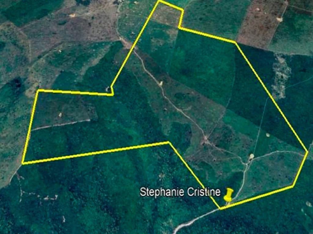 Area Rural em leilão em Paulo Ramos - MA, bairro Povoado Brejo Grande — Área Rural 200 ha - Paulo Ramos-MA - Fazenda Sol Nascente I - Povoado Brejo Grande