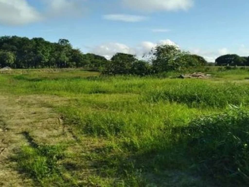 Foto 3 de 8: Casa em leilão em Parintins - AM, bairro Comunidade do Aninga — Área com 12.030 m² com Construção de 215 m² - Comunidade do Aninga - Parintins - AM