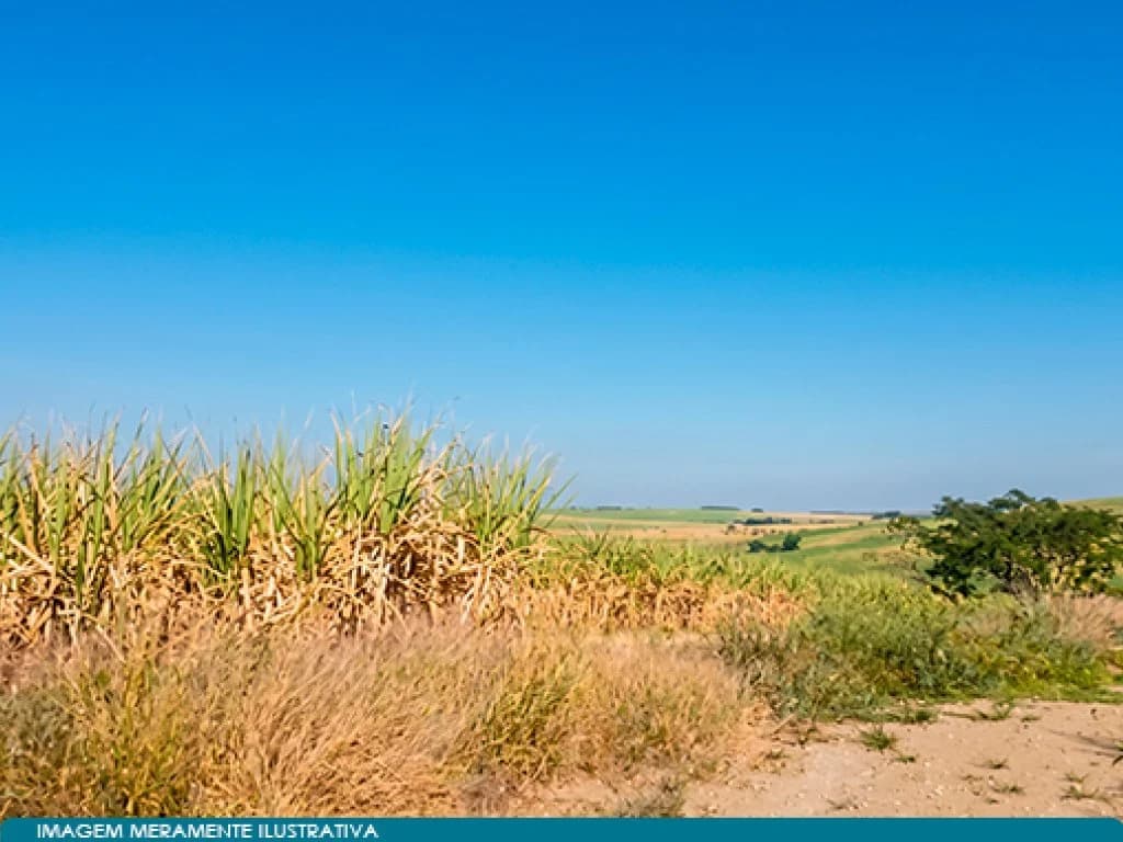 Foto 3 de 7: Area Rural em leilão em Rio Das Pedras - SP, bairro Trinta e Cinco — Imóvel Rural 47 ha (Sítio Trinta e Cinco) -  Rio das Pedras - SP
