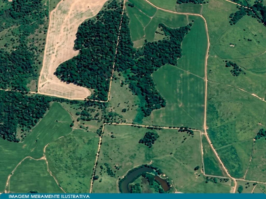 Foto 4 de 7: Area Rural em leilão em Rio Das Pedras - SP, bairro Trinta e Cinco — Imóvel Rural 47 ha (Sítio Trinta e Cinco) -  Rio das Pedras - SP
