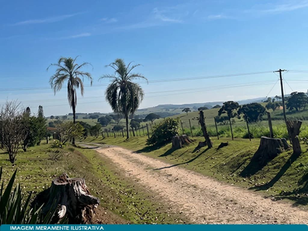 Foto 4 de 7: Area Rural em leilão em Itapetininga - SP, bairro Campina — Parte Ideal (50%) sobre Imóvel Rural 271 ha (Fazenda São José Domingos Savio) - Campina - Itapetininga - SP
