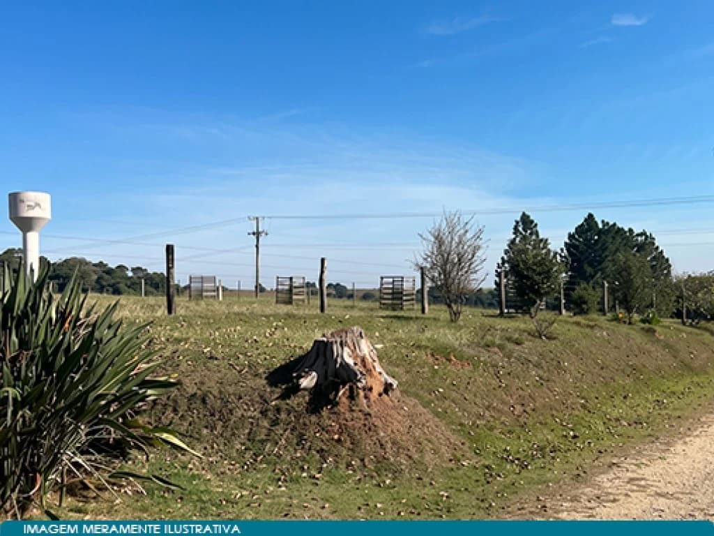 Foto 6 de 7: Area Rural em leilão em Itapetininga - SP, bairro Campina — Parte Ideal (50%) sobre Imóvel Rural 271 ha (Fazenda São José Domingos Savio) - Campina - Itapetininga - SP