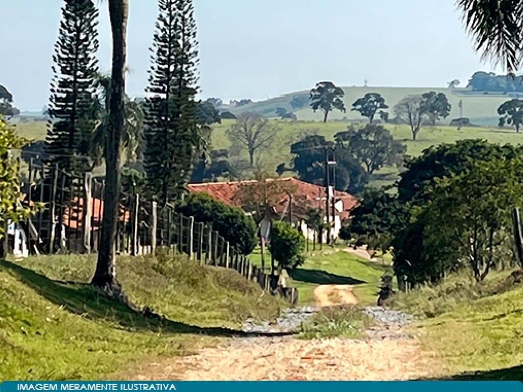 Foto 7 de 7: Area Rural em leilão em Itapetininga - SP, bairro Campina — Parte Ideal (50%) sobre Imóvel Rural 271 ha (Fazenda São José Domingos Savio) - Campina - Itapetininga - SP