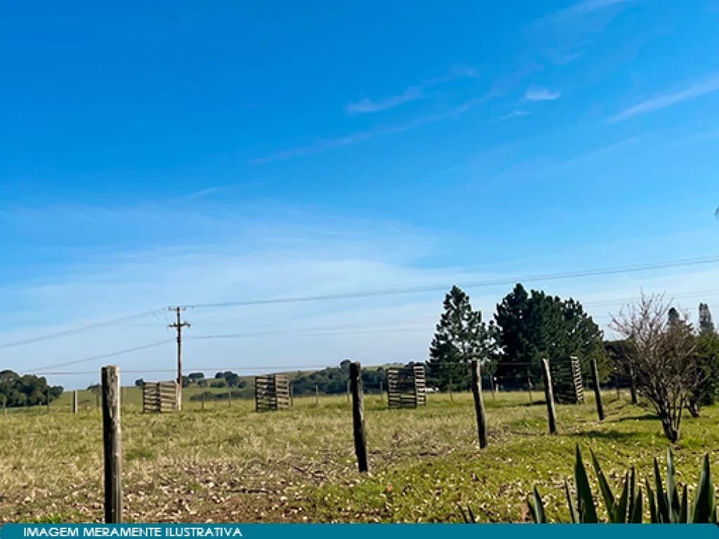 Foto 5 de 7: Area Rural em leilão em Itapetininga - SP, bairro Campina — Parte Ideal (50%) sobre Imóvel Rural 271 ha (Fazenda São José Domingos Savio) - Campina - Itapetininga - SP