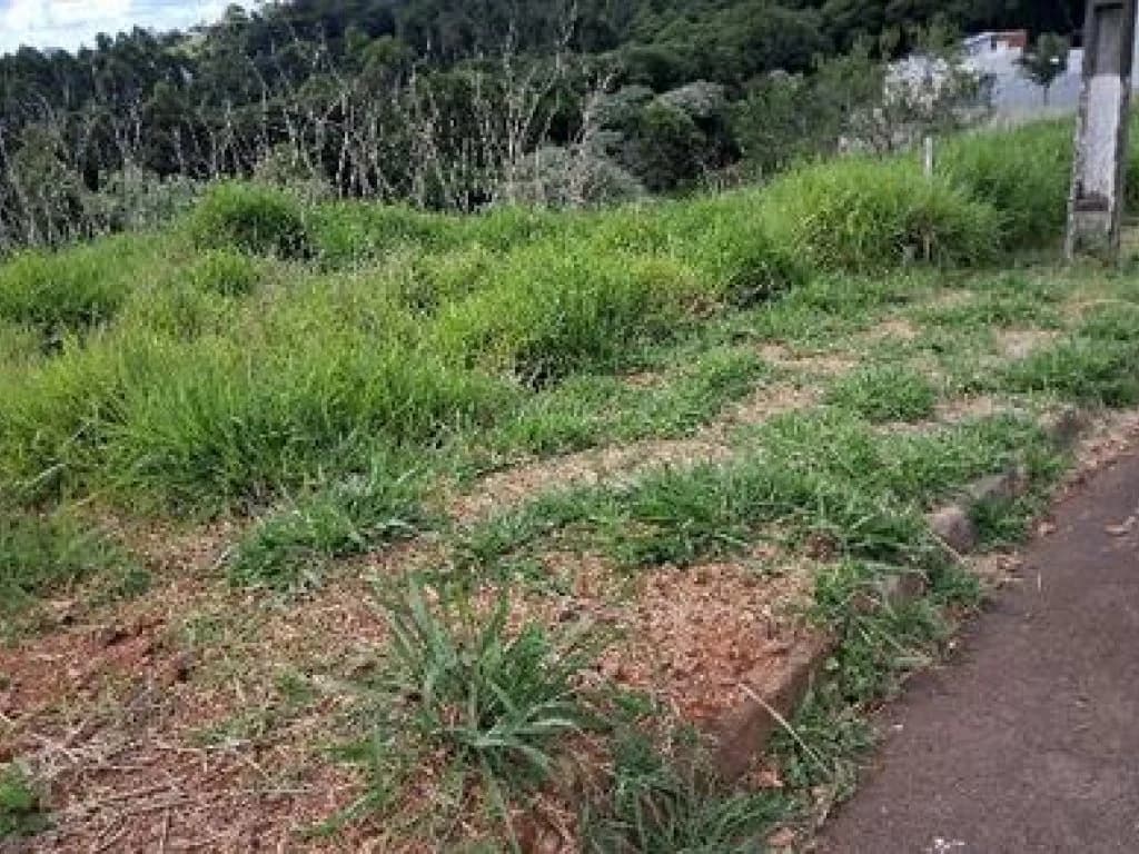 Foto 1 de 5: Terreno em leilão em Chapecó - SC, bairro Monte Belo — Terreno 364 m² - Monte Belo - Chapecó - SC