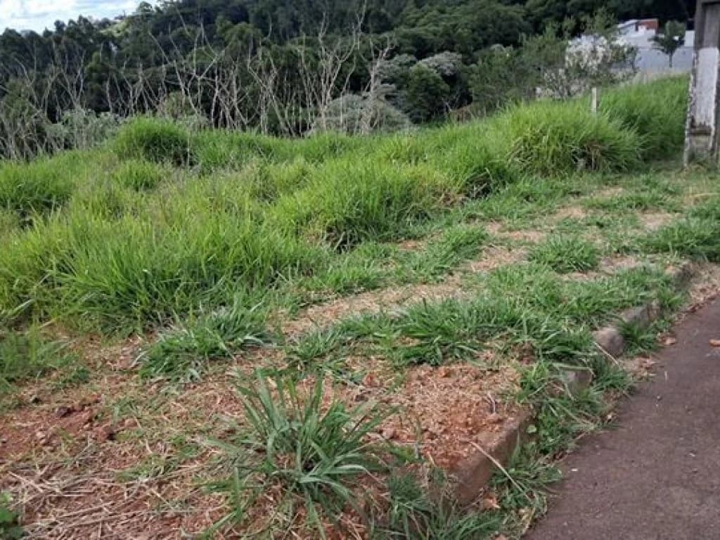 Foto 5 de 5: Terreno em leilão em Chapecó - SC, bairro Monte Belo — Terreno 364 m² - Monte Belo - Chapecó - SC