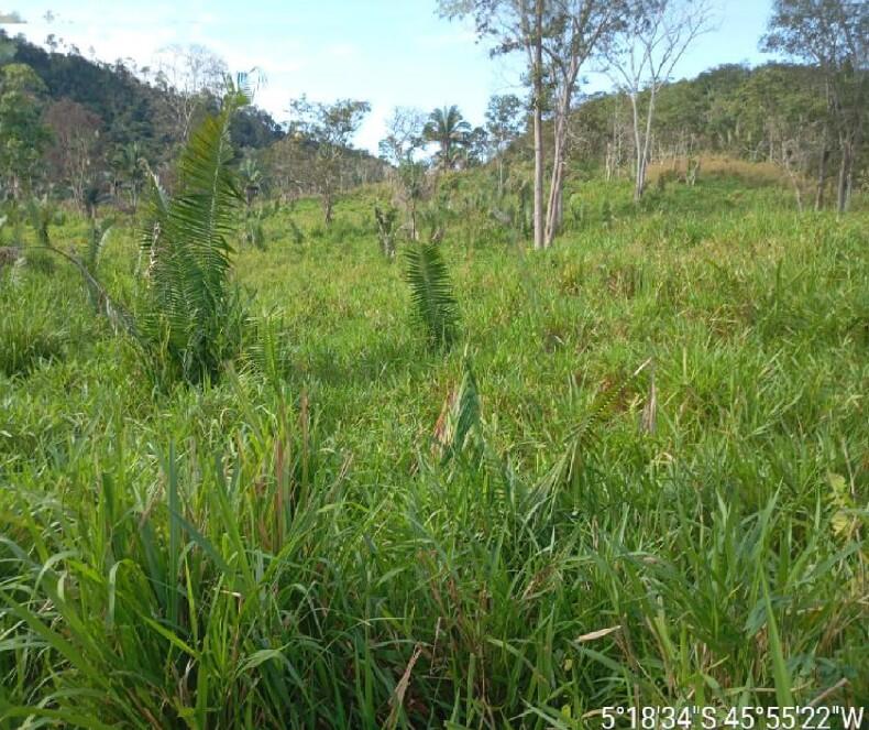 Foto 3 de 4: Area Rural em leilão em Itaipava Do Grajaú - MA — Imóvel Rural | Itaipava do Grajaú/MA