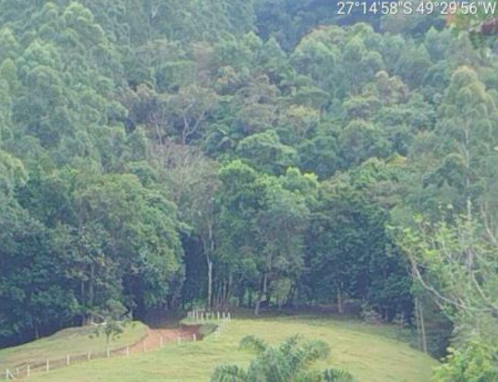Foto 3 de 4: Area Rural em leilão em Lontras - SC — Imóvel Rural | Lontras/SC