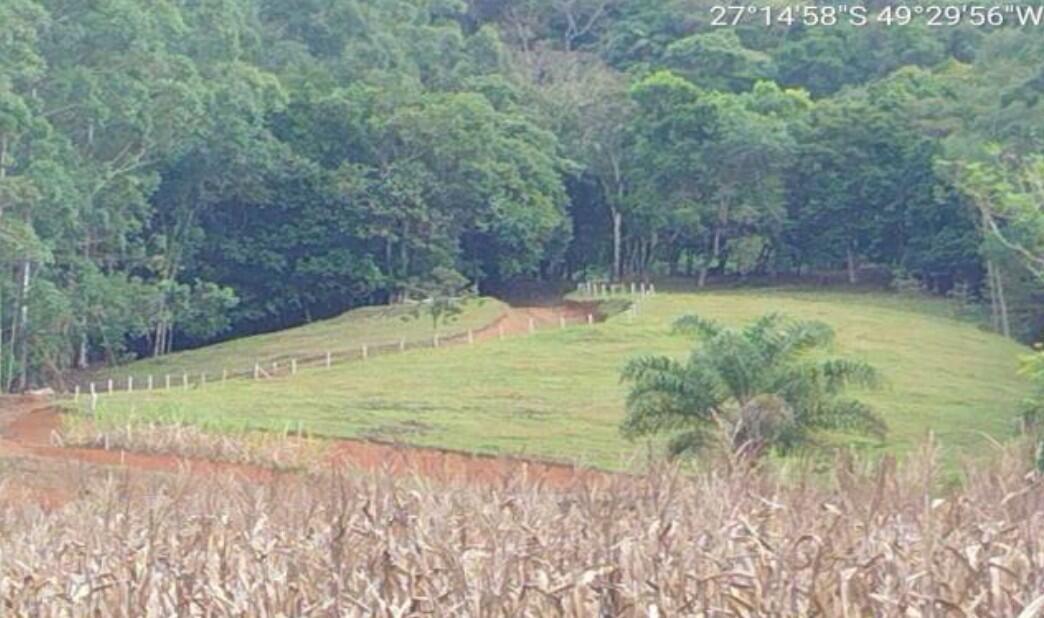 Foto 4 de 4: Area Rural em leilão em Lontras - SC — Imóvel Rural | Lontras/SC