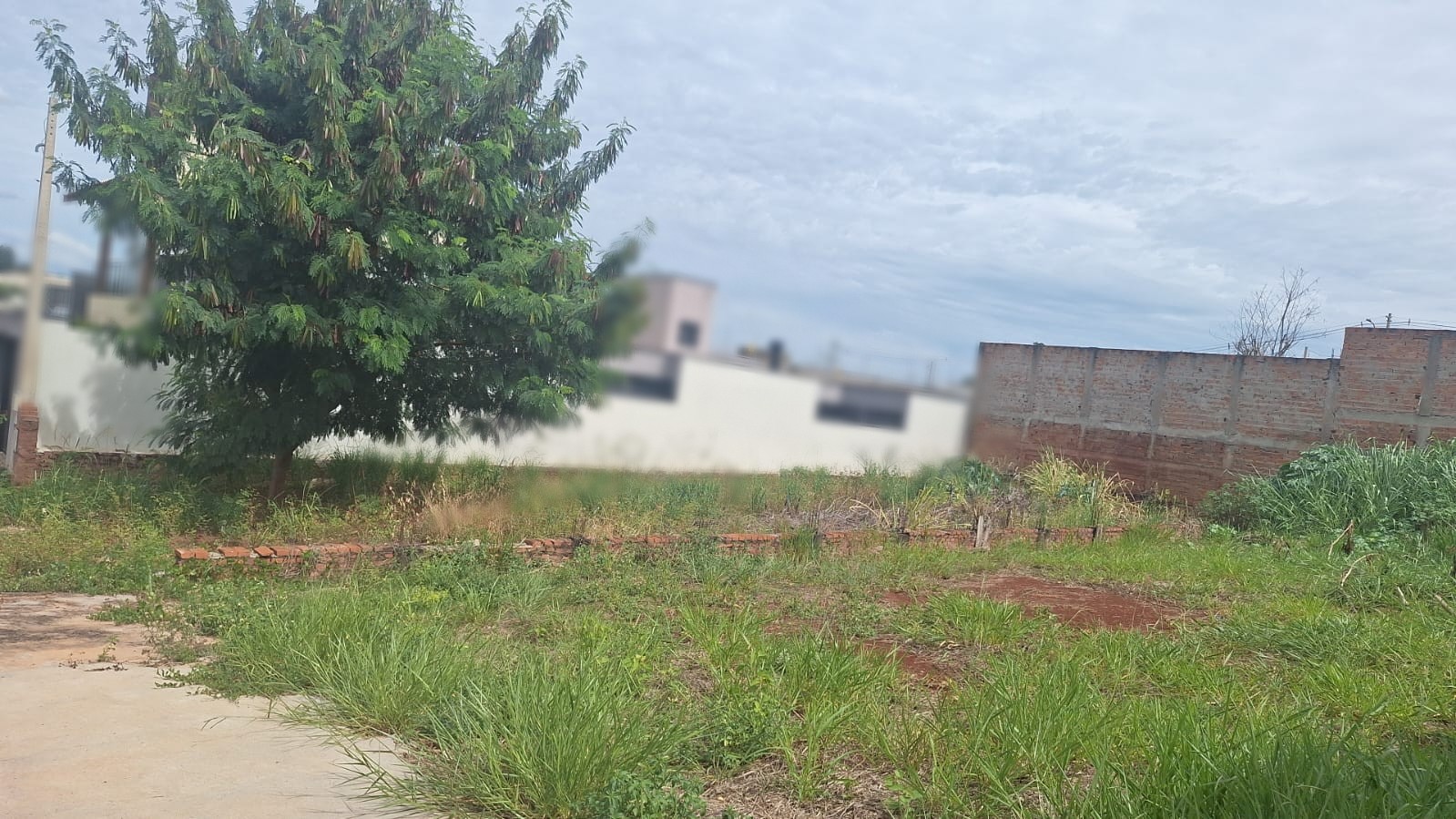 Foto 4 de 5: Terreno em leilão em Araraquara - SP — Terreno/Lote | Araraquara/SP