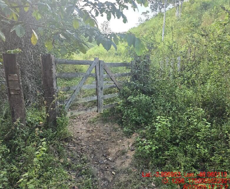 Foto 3 de 8: Area Rural em leilão em Alto Alegre Do Pindaré - MA — Imóvel Rural | Alto Alegre do Pindaré/MA