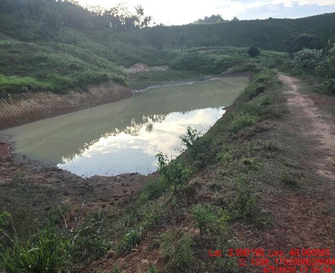 Foto 6 de 8: Area Rural em leilão em Alto Alegre Do Pindaré - MA — Imóvel Rural | Alto Alegre do Pindaré/MA