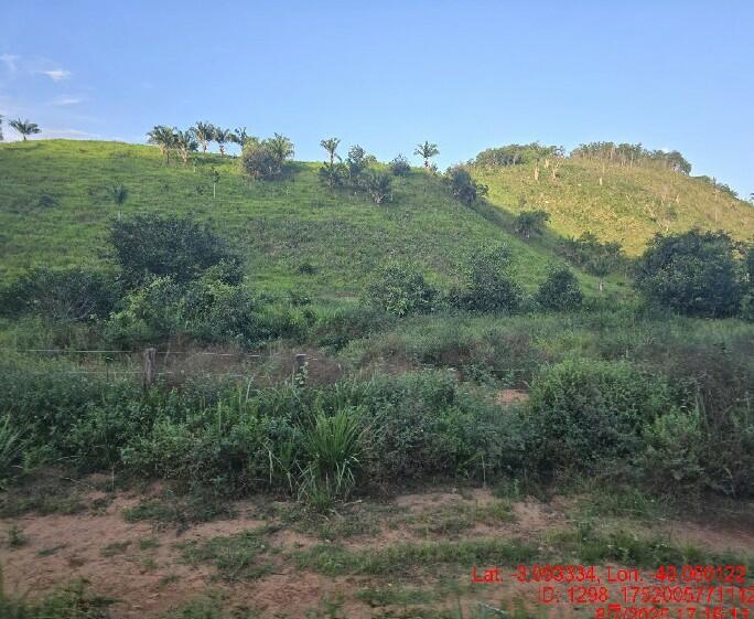 Foto 7 de 8: Area Rural em leilão em Alto Alegre Do Pindaré - MA — Imóvel Rural | Alto Alegre do Pindaré/MA