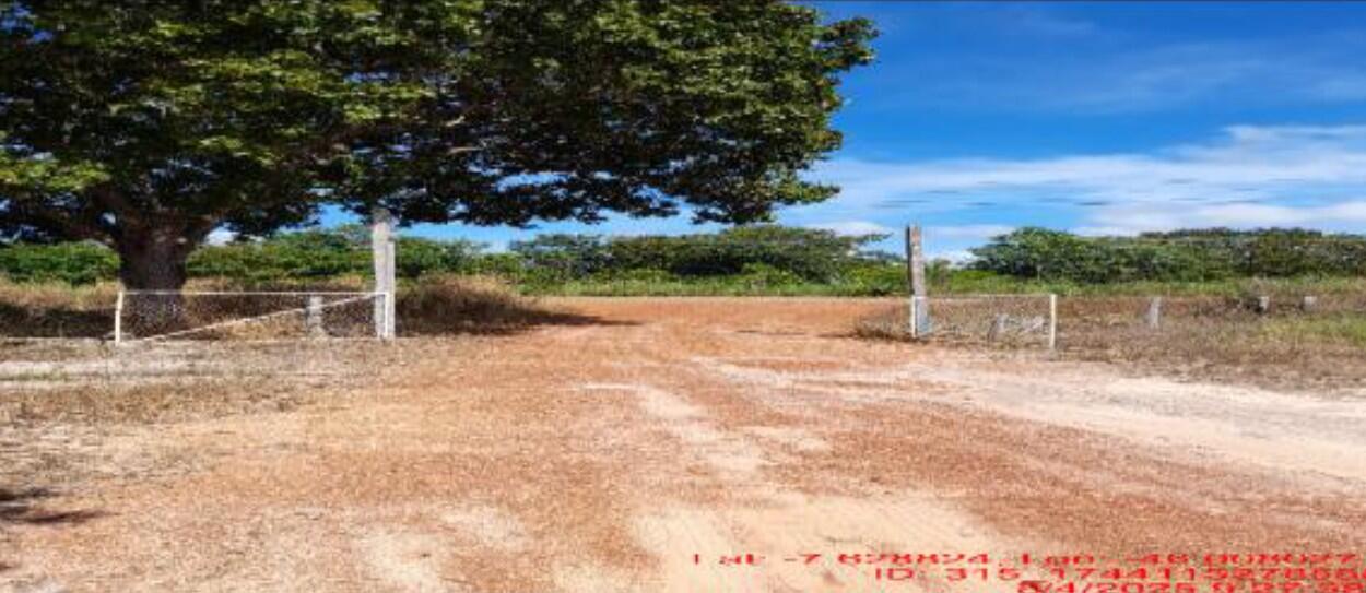 Foto 4 de 4: Area Rural em leilão em Balsas - MA — Imóvel Rural | Balsas/MA