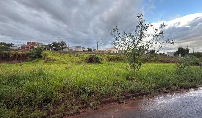 Foto 4 de 4: Terreno em leilão em Terra Roxa - PR — Terreno/Lote | Terra Roxa/PR