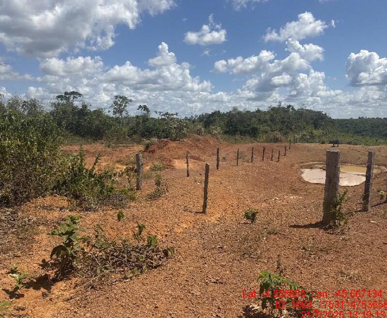 Foto 2 de 4: Area Rural em leilão em Paulo Ramos - MA, bairro Povoado Baixão da Onça — Imóvel Rural | Paulo Ramos/MA