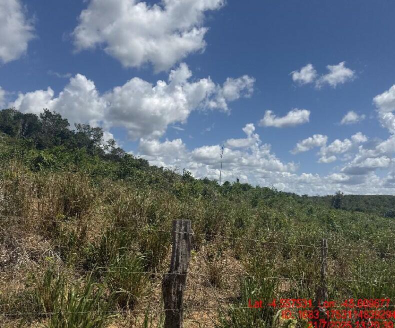 Foto 3 de 4: Area Rural em leilão em Paulo Ramos - MA, bairro Povoado Baixão da Onça — Imóvel Rural | Paulo Ramos/MA
