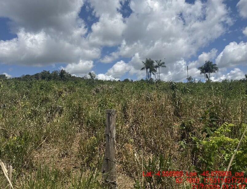 Foto 4 de 4: Area Rural em leilão em Paulo Ramos - MA, bairro Povoado Baixão da Onça — Imóvel Rural | Paulo Ramos/MA