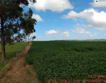 Foto 2 de 4: Area Rural em leilão em Júlio De Castilhos - RS, bairro Júlio de Castilhos — Imóvel Rural | Júlio de Castilhos/RS