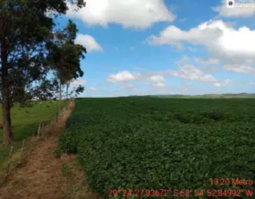 Foto 1 de 4: Area Rural em leilão em Júlio De Castilhos - RS, bairro Júlio de Castilhos — Imóvel Rural | Júlio de Castilhos/RS