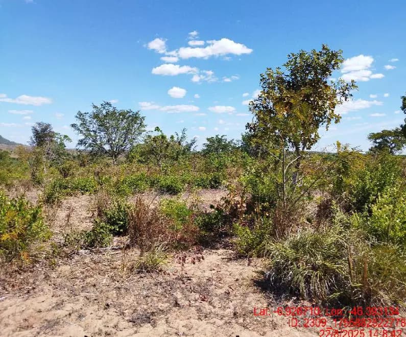 Foto 2 de 8: Area Rural em leilão em São Pedro Dos Crentes - MA, bairro Data Santo Antonio — Imóvel Rural | São Pedro dos Crentes/MA