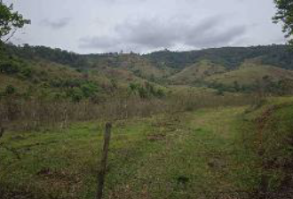 Foto 1 de 4: Area Rural em leilão em Muzambinho - MG — Imóvel Rural | Muzambinho/MG
