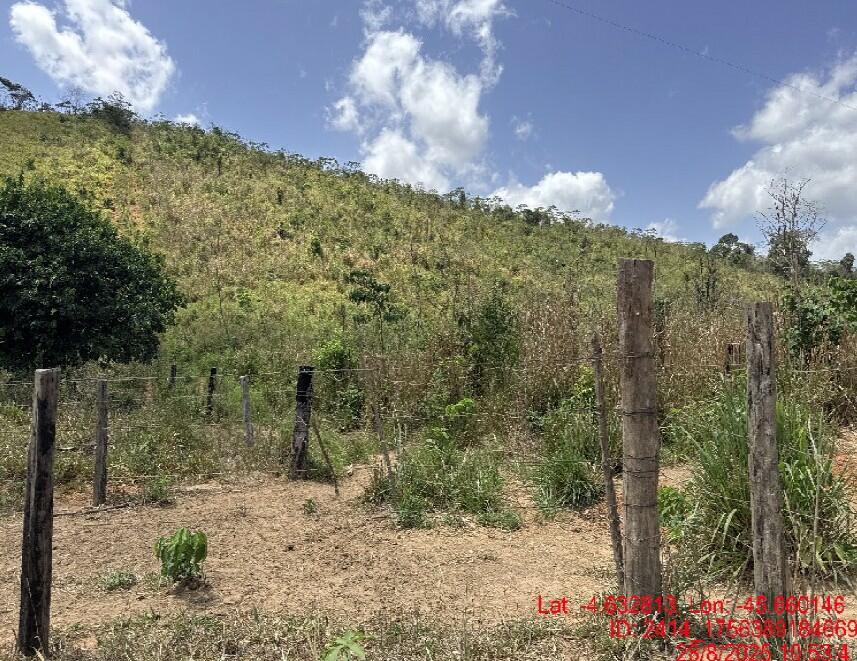 Foto 2 de 4: Area Rural em leilão em Paulo Ramos - MA — Imóvel Rural | Paulo Ramos/MA