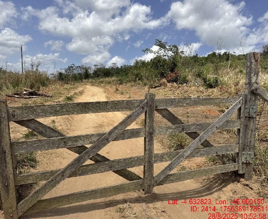Foto 3 de 4: Area Rural em leilão em Paulo Ramos - MA — Imóvel Rural | Paulo Ramos/MA