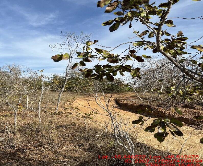 Foto 3 de 4: Area Rural em leilão em Buritis - MG — Imóvel Rural | Buritis/MG