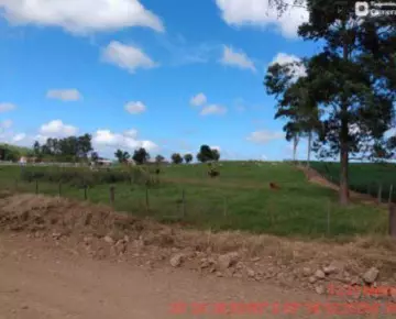 Foto 4 de 4: Area Rural em leilão em Júlio De Castilhos - RS — Imóvel Rural | Júlio de Castilhos/RS