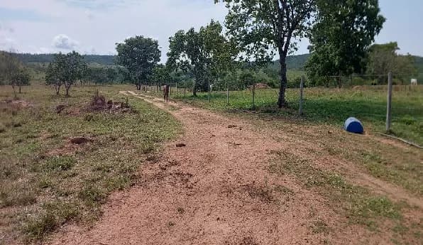 Foto 3 de 5: Area Rural em leilão em Ipameri - GO — Imóvel Rural | Ipameri/GO