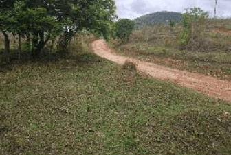 Foto 4 de 5: Area Rural em leilão em Muzambinho - MG — Imóvel Rural | Muzambinho/MG