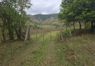 Foto 1 de 5: Area Rural em leilão em Muzambinho - MG — Imóvel Rural | Muzambinho/MG