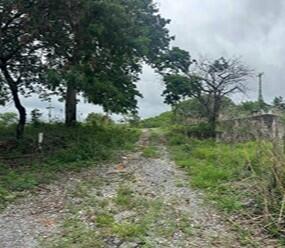 Foto 2 de 4: Area Rural em leilão em Formiga - MG — Imóvel Rural | Formiga/MG