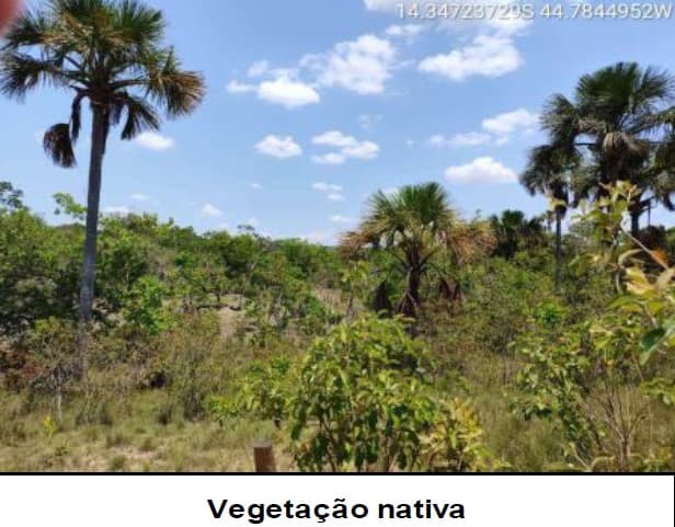 Foto 4 de 4: Area Rural em leilão em Cocos - BA — Imóvel Rural | Cocos/BA
