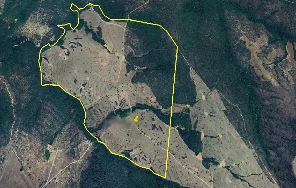 Foto 1 de 4: Area Rural em leilão em Ipameri - GO — Imóvel Rural | Ipameri/GO