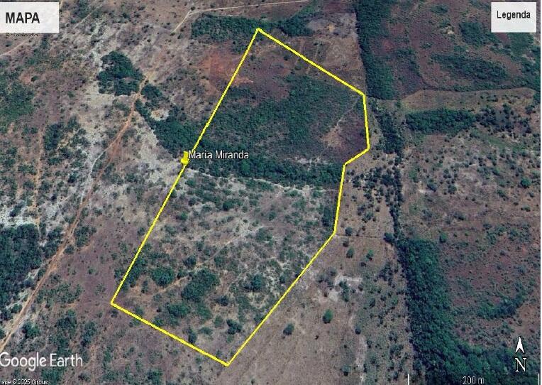 Foto 3 de 4: Area Rural em leilão em Sítio Novo - MA — Imóvel Rural | Sítio Novo/MA