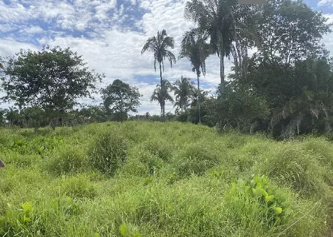 Foto 4 de 4: Area Rural em leilão em Angico - TO — Imóvel Rural | Angico/TO