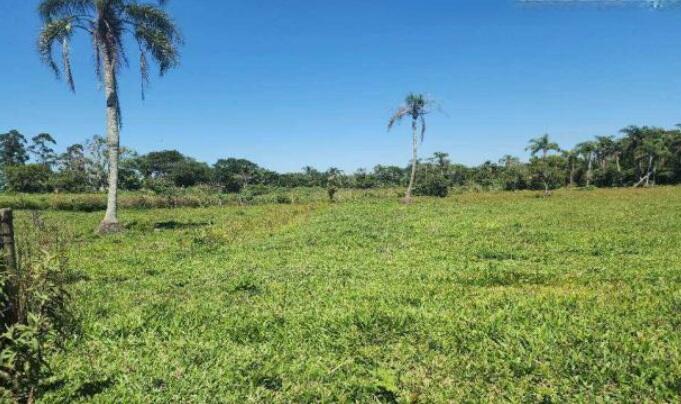 Foto 1 de 4: Area Rural em leilão em São João Do Sul - SC, bairro Vila Conceição — Imóvel Rural | São João do Sul-SC/SC