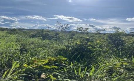 Foto 2 de 4: Area Rural em leilão em Mara Rosa - GO — Imóvel Rural | Mara Rosa/GO