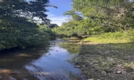 Foto 4 de 4: Area Rural em leilão em Mara Rosa - GO — Imóvel Rural | Mara Rosa/GO