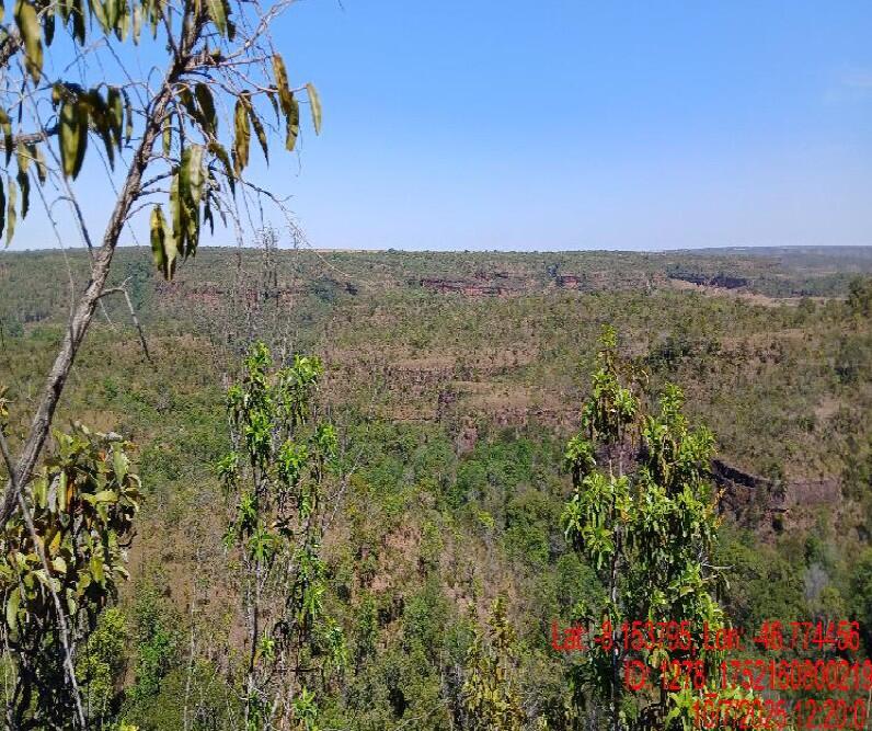 Foto 2 de 4: Area Rural em leilão em Campos Lindos - TO — Imóvel Rural | Campos Lindos/TO
